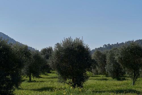 Hotel Rural Es Riquers