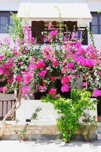 Hotel Angeliki