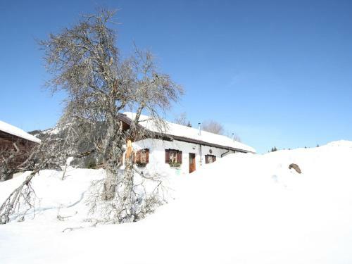 Apartamento Oberau