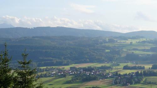 Hostal Gasthof Hemetsberger