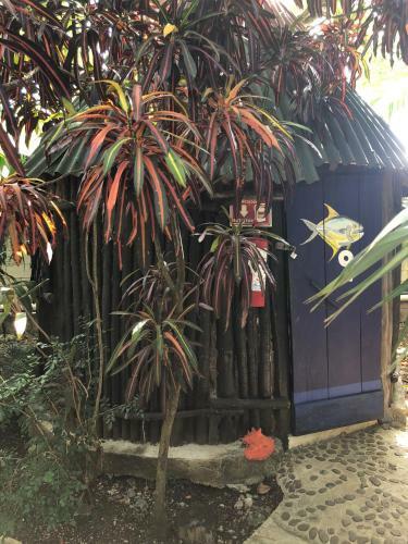 Albergue Rancho Tranquilo