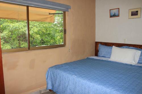 Apartamentos Magnolias