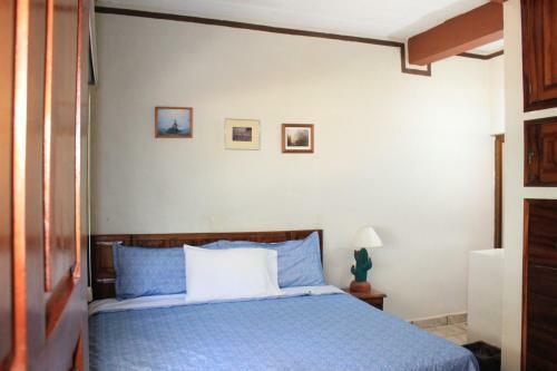 Apartamentos Magnolias
