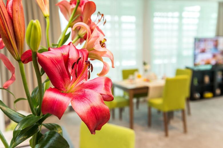 Earth And People Hotel & Spa