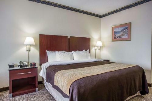 Hotel Comfort Inn & Suites Ft.jackson Maingate