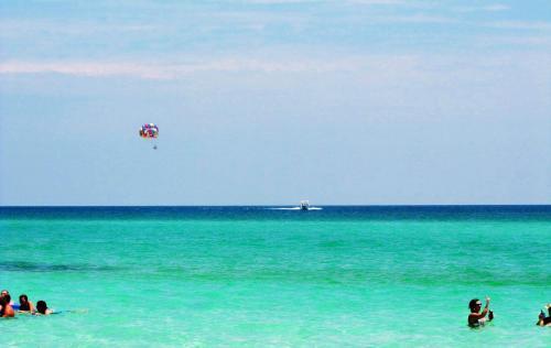 Salty Seas