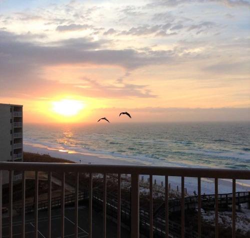 Apartamento Gulf Shore Condo #604r