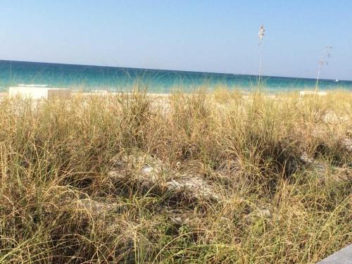 Apartamento Gulf Shore Condo #604r