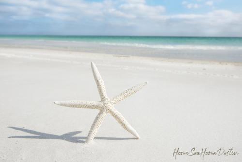 Apartamento Gulf Shore Condo #105
