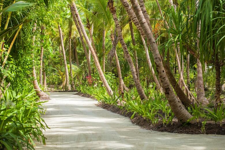 Hotel Dusit Thani Maldives