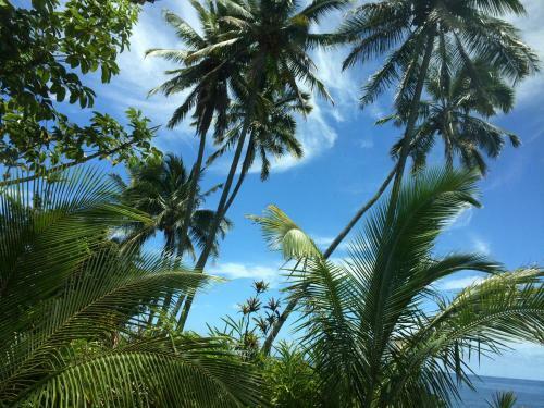 Hilo Bay Oceanfront Bed And Breakfast