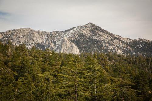Idyllwild Camping Resort Cabin