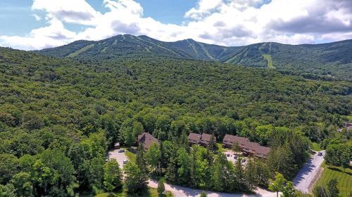 Edgemont Condo A1