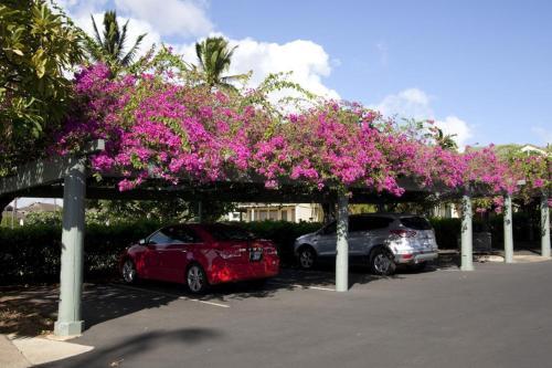 Manualoha 201