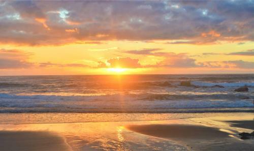 Seas The Day