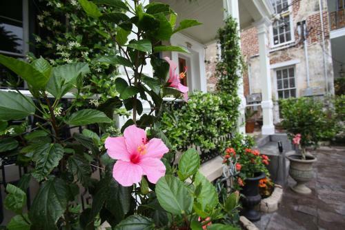 Bed & Breakfast Fleur De Lis Mansion