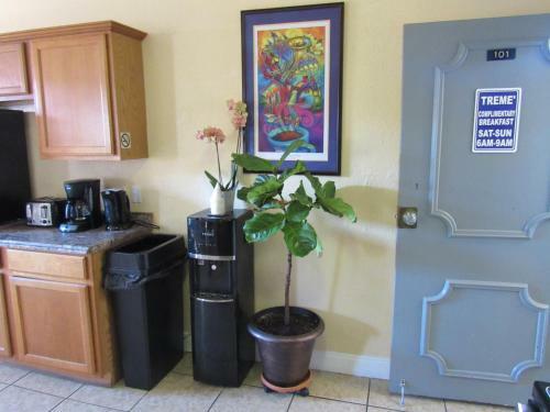 The Trem� Hotel