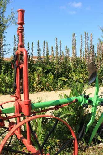 Bed & Breakfast Solar Do Alambique