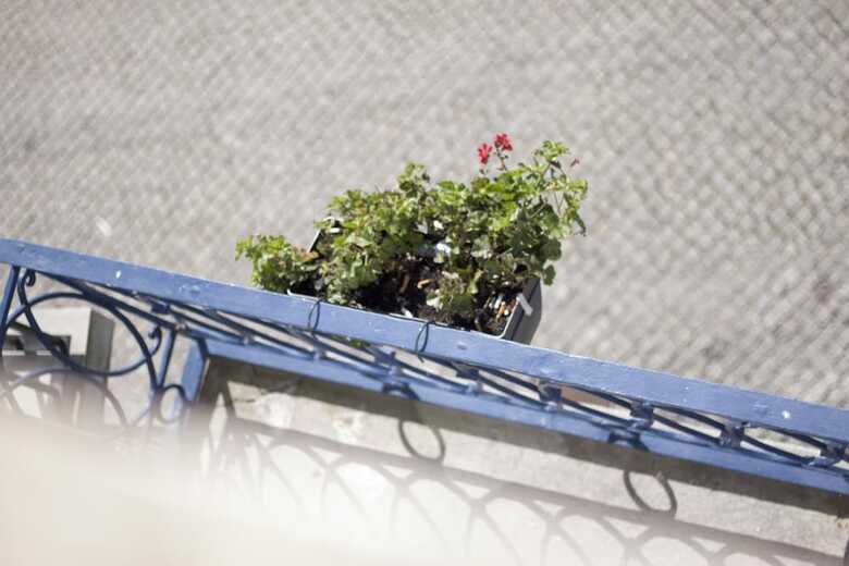 Happy Porto Hostel & Apartments