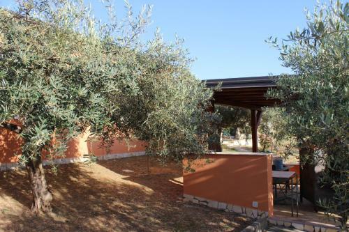 Agroturismo Antico Ulivo