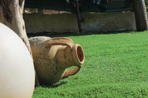 Agroturismo Antico Ulivo