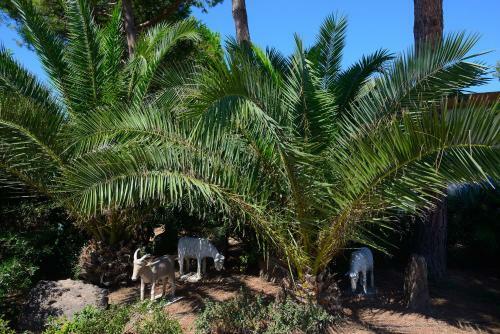 Apartamento Residence Oasis