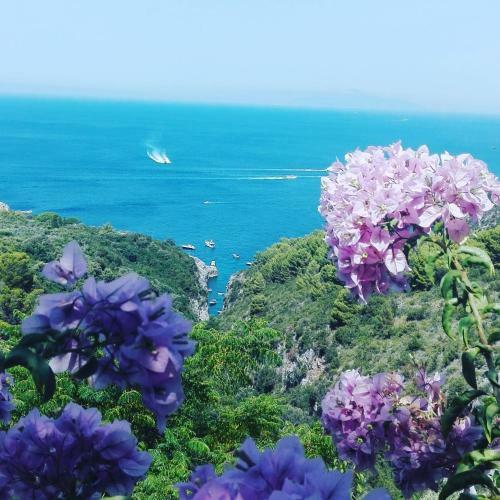 B&B Cala Del Rio