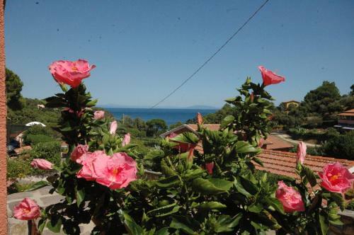 Apartamento Residence Villa Franca