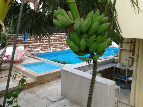Bed & Breakfast Kartal Hotel