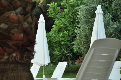 Bed & Breakfast Palm Court Suites