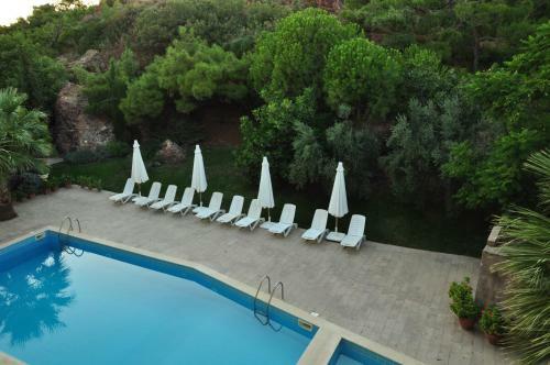Bed & Breakfast Palm Court Suites