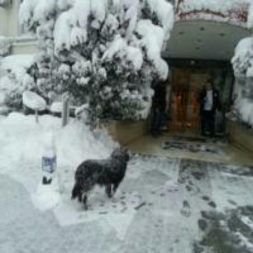 Bed & Breakfast Adapalas Hotel