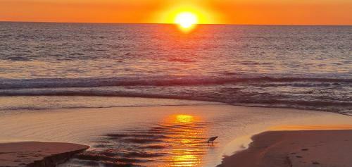Apartamento West Beach Lagoon 103 ? Outstanding Value