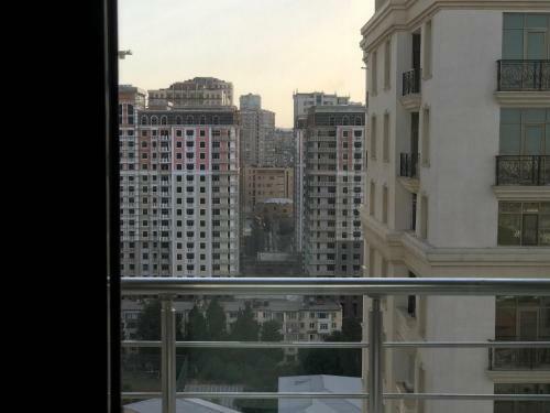 Luxury Apartment