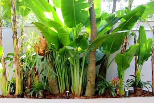 Bed & Breakfast G�vea Bnb