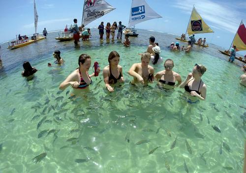 Hostel Brasil Eco-adventure