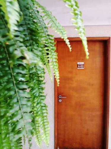 Apartamento Flat Manawa A 03