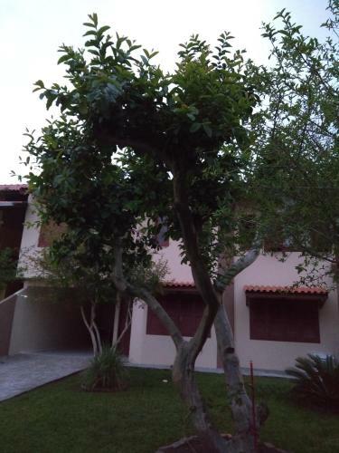 Casa Bombinhas