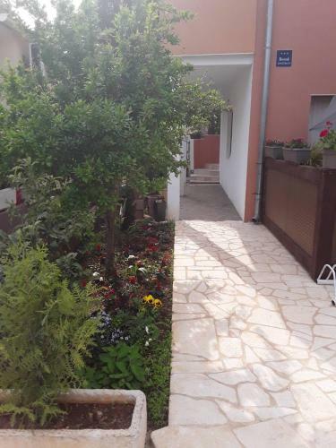 Apartment Anita