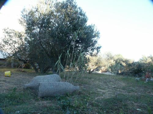 Apartamentos Studio Jezera 798c