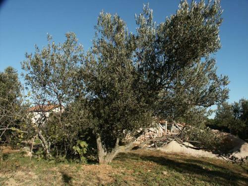 Apartamentos Studio Jezera 798d