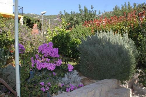 Holiday Apartments Komiza (vis) - 2916