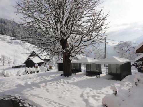 Hostal Gasthof - Pension Linder