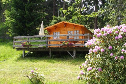 Apartamento Ferienhaus Hollinger