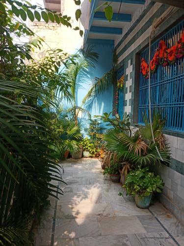 Sunita Homestay