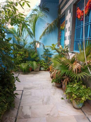 Sunita Homestay