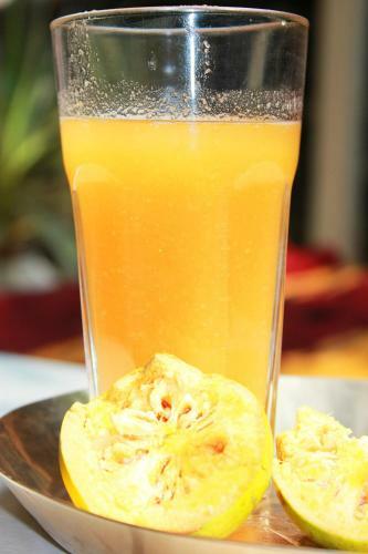 Yogisthaan