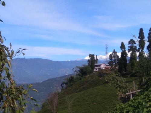 Hotel Bamboo Resort And Atv Park