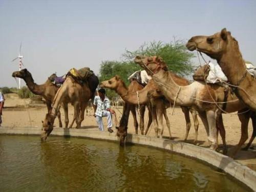 Hotel Raj Safari