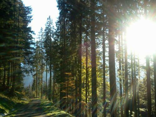 Apartamento Sunalpin - Ferienwohnungen
